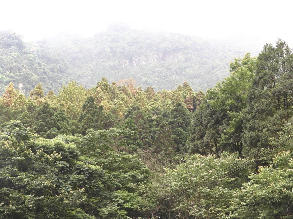 ซินจู บาหลี ฟอเรสต์ ฮอตสปริง รีสอร์ต Hotel Hengshan ภายนอก รูปภาพ