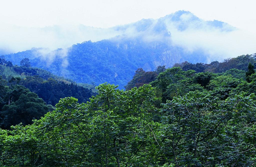 ซินจู บาหลี ฟอเรสต์ ฮอตสปริง รีสอร์ต Hotel Hengshan ภายนอก รูปภาพ